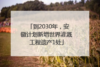 到2030年，安徽计划新增世界灌溉工程遗产1处