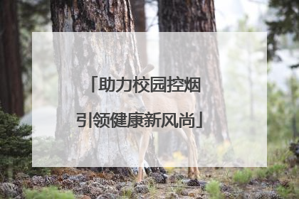 助力校园控烟 引领健康新风尚