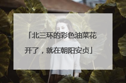 北三环的彩色油菜花开了，就在朝阳安贞