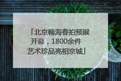 北京翰海春拍预展开幕，1800余件艺术珍品亮相京城