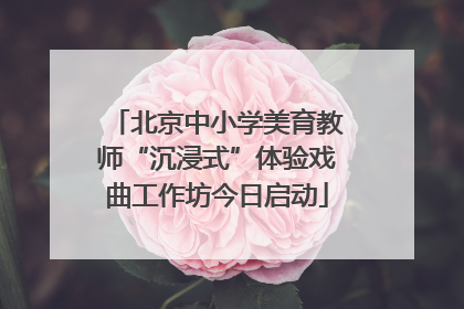 北京中小学美育教师“沉浸式”体验戏曲工作坊今日启动