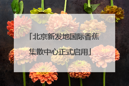 北京新发地国际香蕉集散中心正式启用