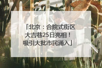 北京：合院式街区大吉巷25日亮相！吸引大批市民涌入