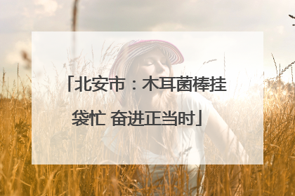 北安市：木耳菌棒挂袋忙 奋进正当时