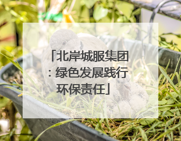 北岸城服集团：绿色发展践行环保责任
