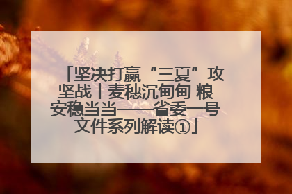 坚决打赢“三夏”攻坚战丨麦穗沉甸甸 粮安稳当当——省委一号文件系列解读①