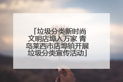 垃圾分类新时尚 文明店埠入万家 青岛莱西市店埠镇开展垃圾分类宣传活动