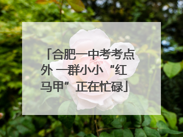 合肥一中考考点外 一群小小“红马甲”正在忙碌