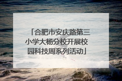 合肥市安庆路第三小学大杨分校开展校园科技周系列活动