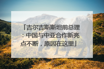 吉尔吉斯斯坦前总理：中国与中亚合作新亮点不断，原因在这里
