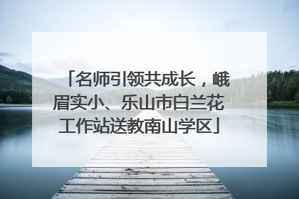 名师引领共成长，峨眉实小、乐山市白兰花工作站送教南山学区