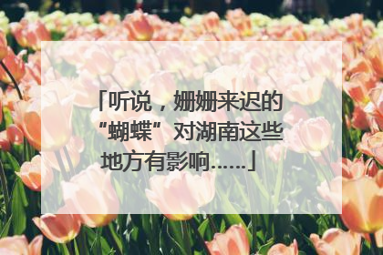 听说，姗姗来迟的“蝴蝶”对湖南这些地方有影响……