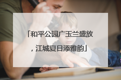 和平公园广玉兰盛放，江城夏日添雅韵