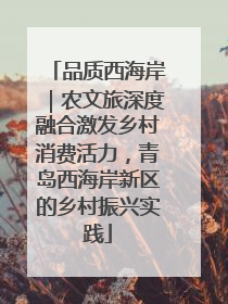 品质西海岸｜农文旅深度融合激发乡村消费活力，青岛西海岸新区的乡村振兴实践