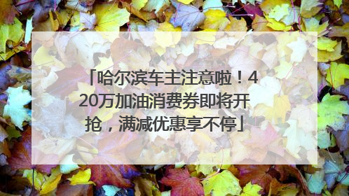 哈尔滨车主注意啦！420万加油消费券即将开抢，满减优惠享不停