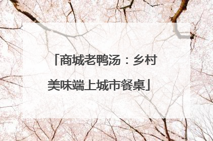 商城老鸭汤：乡村美味端上城市餐桌