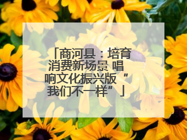 商河县：培育消费新场景 唱响文化振兴版“我们不一样”
