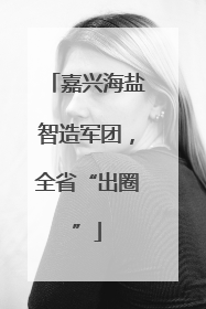 嘉兴海盐智造军团，全省“出圈”