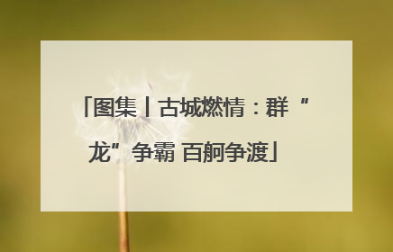 图集丨古城燃情：群“龙”争霸 百舸争渡