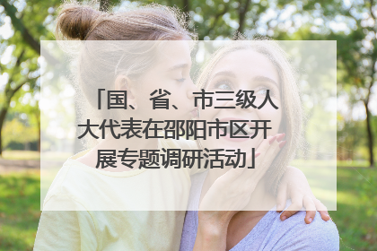 国、省、市三级人大代表在邵阳市区开展专题调研活动