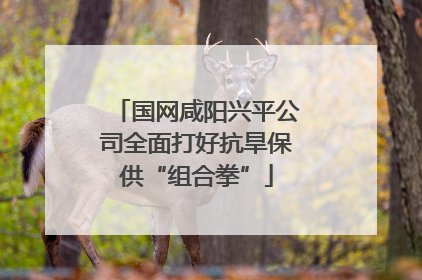 国网咸阳兴平公司全面打好抗旱保供“组合拳”