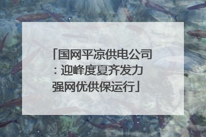 国网平凉供电公司：迎峰度夏齐发力 强网优供保运行