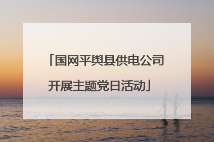 国网平舆县供电公司开展主题党日活动