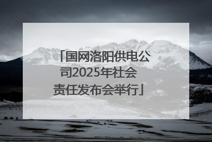 国网洛阳供电公司2025年社会责任发布会举行