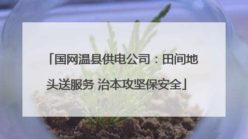 国网温县供电公司：田间地头送服务 治本攻坚保安全