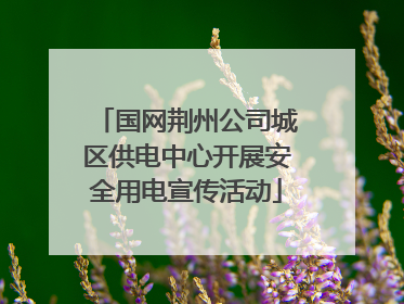 国网荆州公司城区供电中心开展安全用电宣传活动