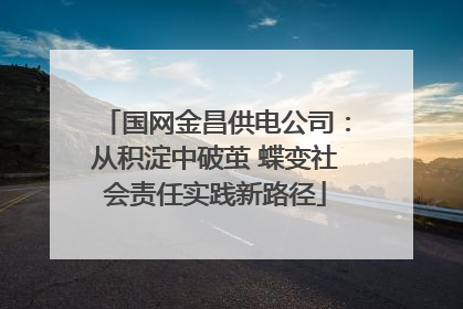国网金昌供电公司：从积淀中破茧 蝶变社会责任实践新路径