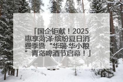 国企钜献！2025惠享菏泽·缤纷夏日消费季暨“华瑞·华小粮”青岛啤酒节启幕！