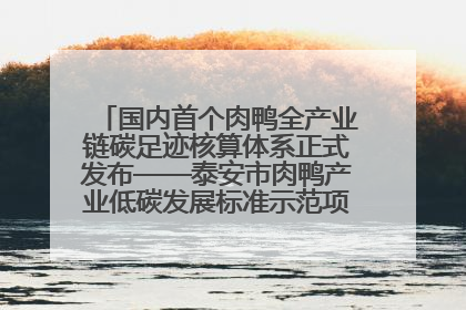 国内首个肉鸭全产业链碳足迹核算体系正式发布——泰安市肉鸭产业低碳发展标准示范项目顺利通过验收