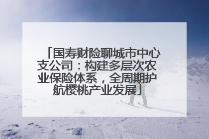 国寿财险聊城市中心支公司：构建多层次农业保险体系，全周期护航樱桃产业发展