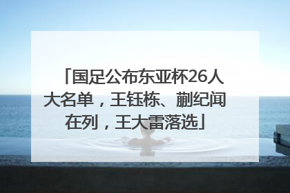 国足公布东亚杯26人大名单，王钰栋、蒯纪闻在列，王大雷落选