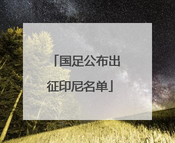 国足公布出征印尼名单