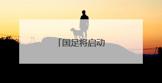 国足将启动新一轮换帅