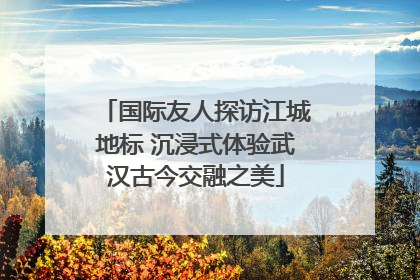国际友人探访江城地标 沉浸式体验武汉古今交融之美