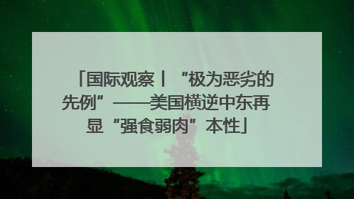 国际观察丨“极为恶劣的先例”——美国横逆中东再显“强食弱肉”本性