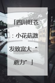 四川旺苍：小花菇激发致富大“蘑力”