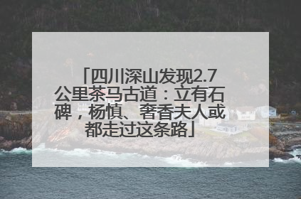 四川深山发现2.7公里茶马古道：立有石碑，杨慎、奢香夫人或都走过这条路