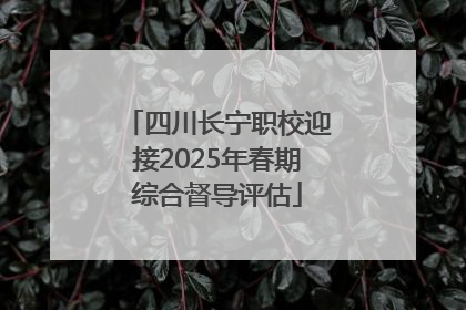 四川长宁职校迎接2025年春期综合督导评估