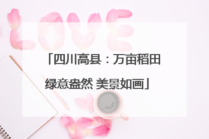 四川高县：万亩稻田绿意盎然 美景如画