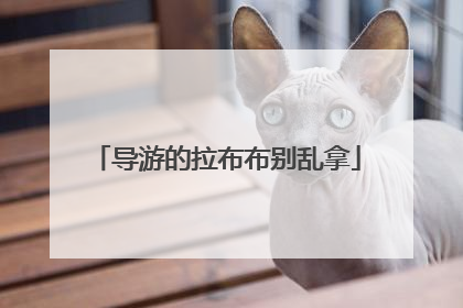 导游的拉布布别乱拿