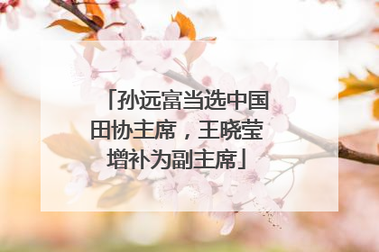 孙远富当选中国田协主席，王晓莹增补为副主席