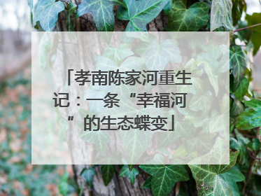 孝南陈家河重生记：一条“幸福河”的生态蝶变