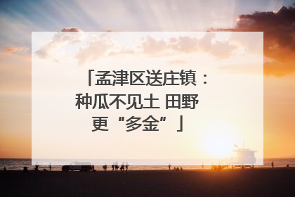 孟津区送庄镇：种瓜不见土 田野更“多金”