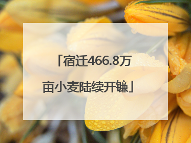 宿迁466.8万亩小麦陆续开镰