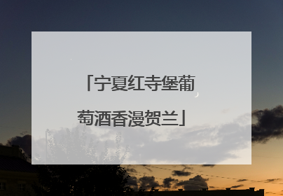 宁夏红寺堡葡萄酒香漫贺兰