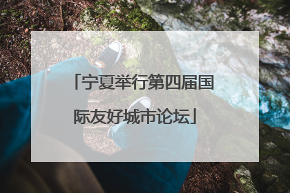 宁夏举行第四届国际友好城市论坛